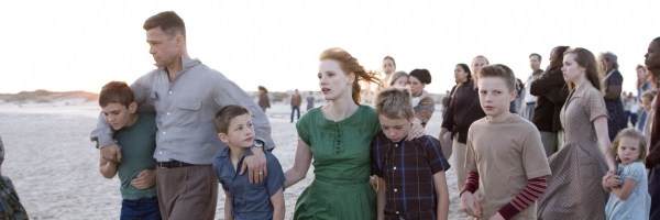 the-tree-of-life-image-slice