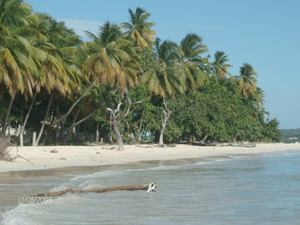 mussulo-_antonio_barata